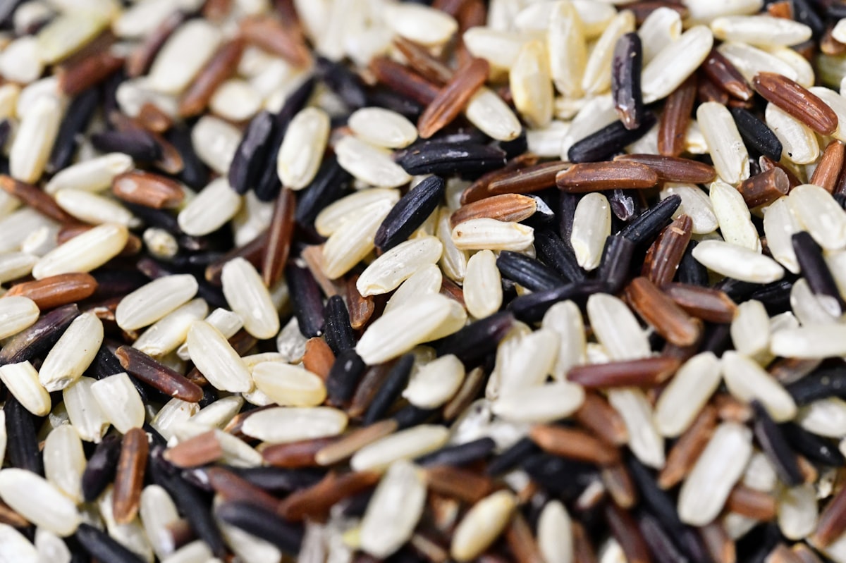Protein-rich breakfast with berries and nuts
